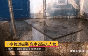 炒菜废油倒进水池,厨房废油可以倒水槽吗