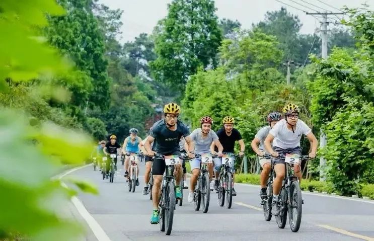 侠客岛：这座城，想低调都难