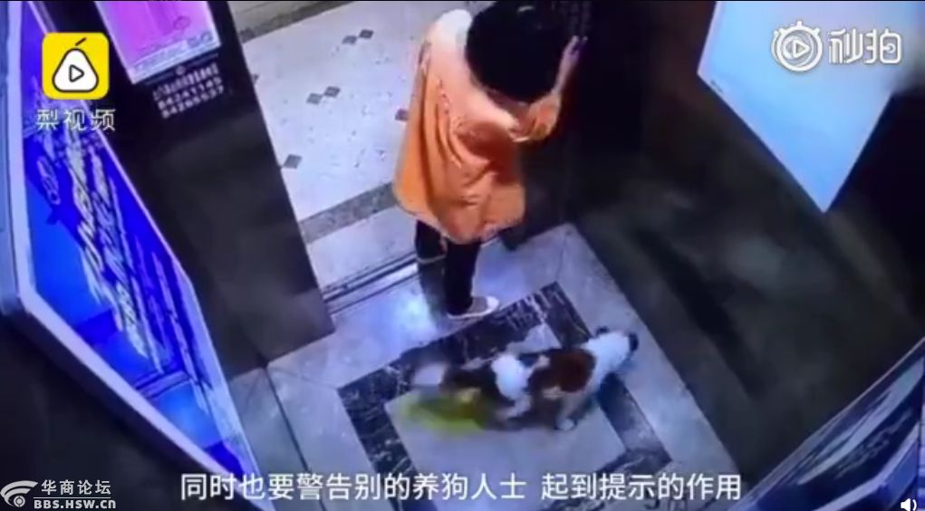 西安男子为娃上学被骗,女子为女儿上学托熟人被骗