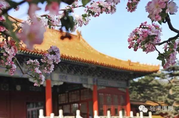 昌平踏青旅游攻略,昌平踏青好玩的地方