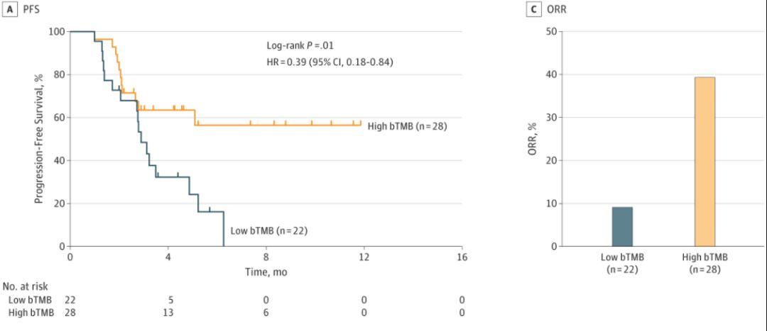 肺癌nsclc治疗指南,nsclc一线免疫治疗进展