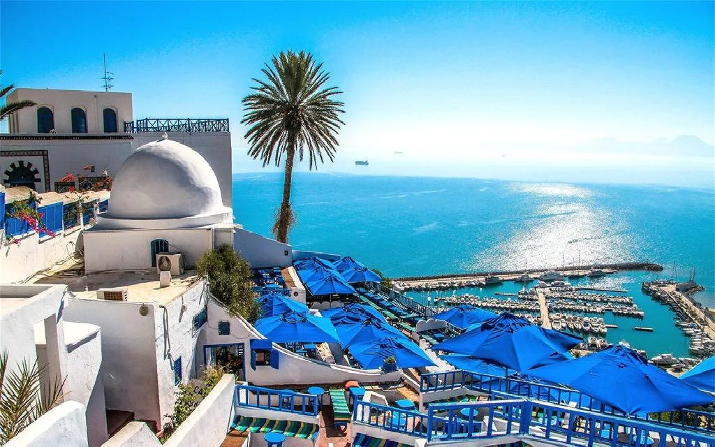 女神节花海一日游,女神节桃源一日游活动