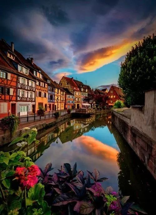 女神节花海一日游,女神节桃源一日游活动