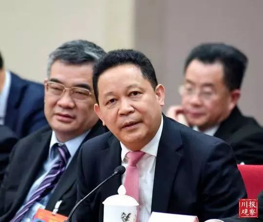 四川代表团开放了吗,四川代表团举行开放团组会议