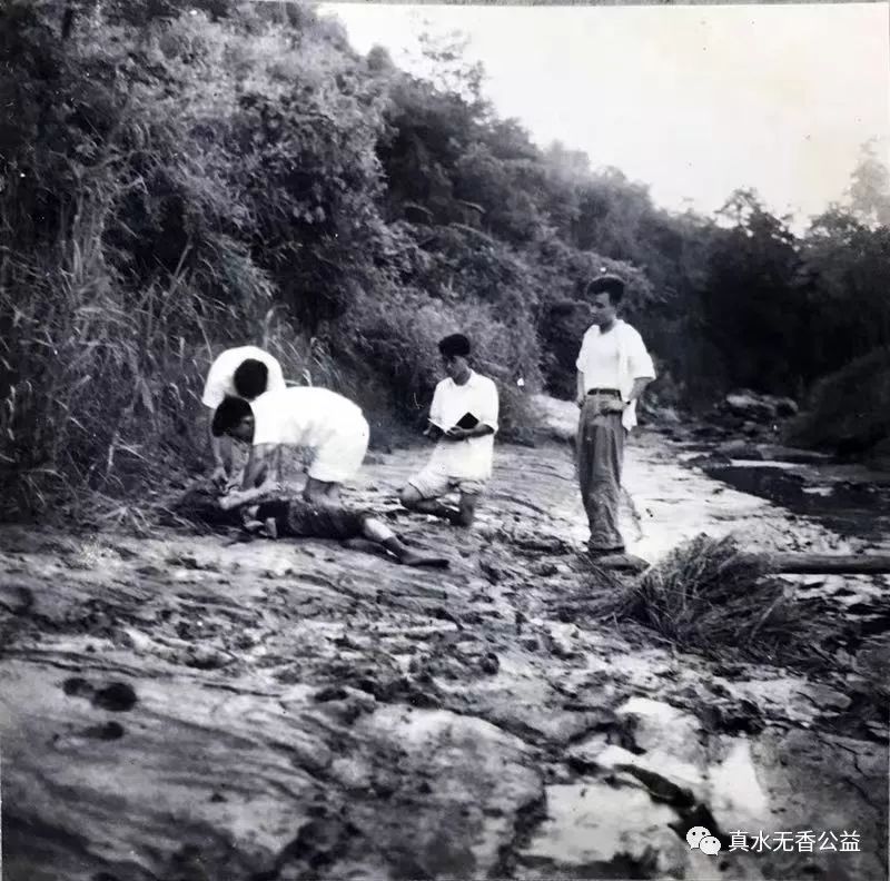 女法医解剖验尸真实案例,女法医在殡仪馆解剖尸体