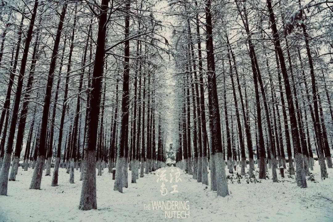 流浪地球之旅行系列,流浪地球南北极