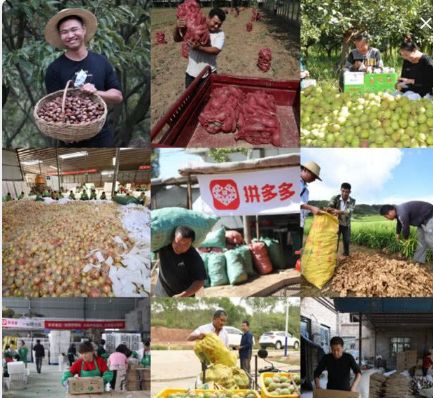 supreme上海首店,supreme欧洲门店