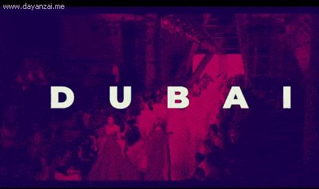 迪拜商务考察团,阿拉伯代表团