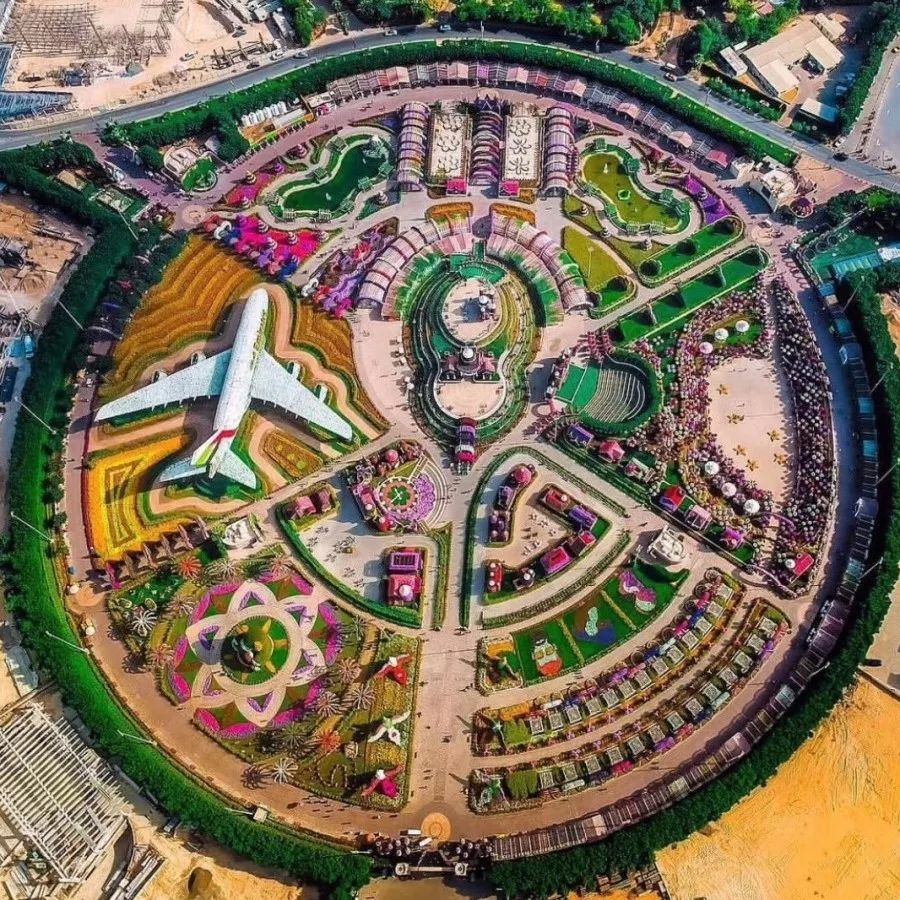 阿拉伯外贸专员招聘,阿拉伯联合代表团来华人员