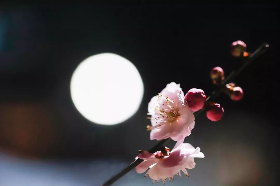 腾讯、联通、新东方都准备来华师“抢人”，本周就业讲座通知汇总，赶紧安排一下！