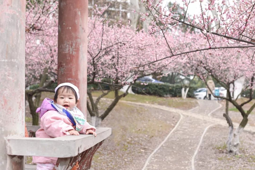 腾讯、联通、新东方都准备来华师“抢人”,本周就业讲座通知汇总,赶紧安排一下!