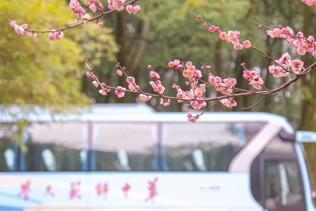 腾讯、联通、新东方都准备来华师“抢人”，本周就业讲座通知汇总，赶紧安排一下！