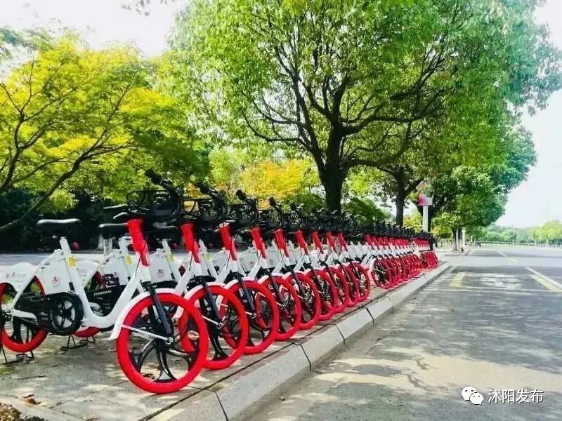 2019年沭阳县新消息,沭阳未来三年的发展