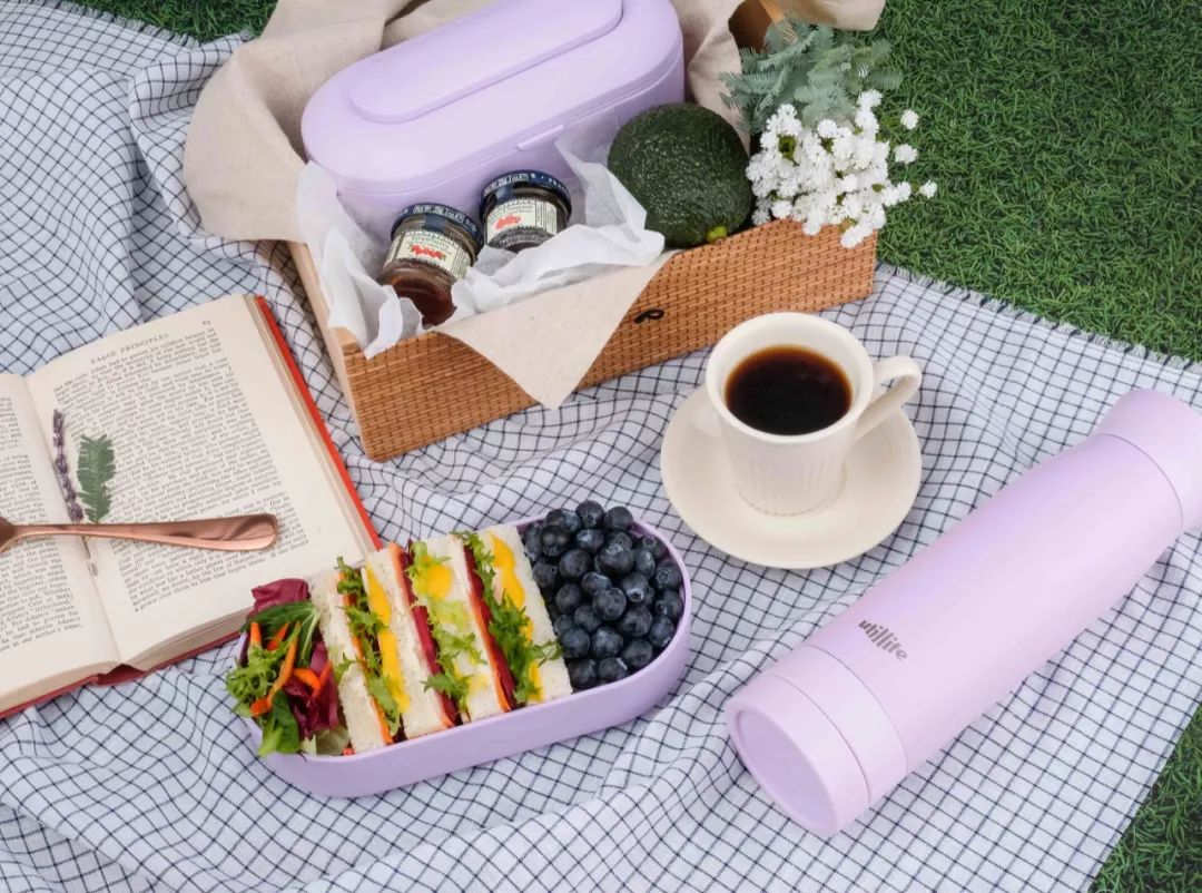 好看耐高温的饭盒,各种好看的饭盒