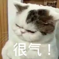 近期天价蔬菜,100元一斤的天价菜