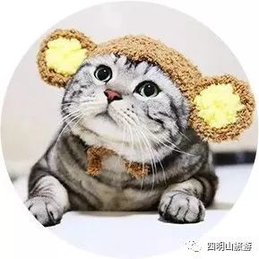 2019宁波国际旅游展,宁波国际旅游展门票