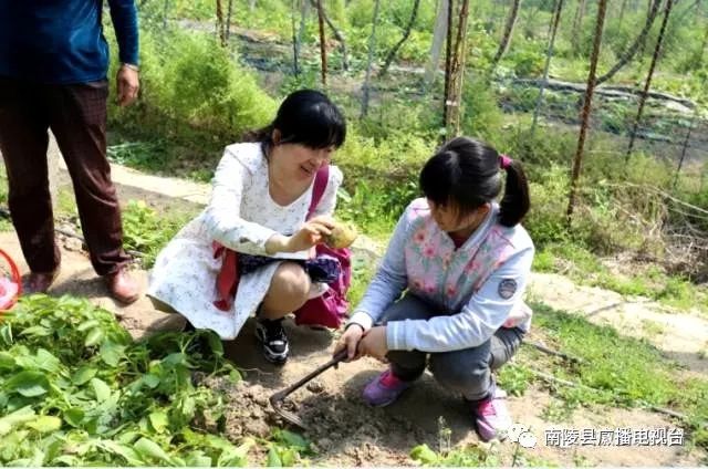 鏄ユ父鍗楅櫟寮嬫睙鍙ら晣瀵诲懗涔嬫梾,鑺滄箹鍗楅櫟鏄ユ父鏀荤暐