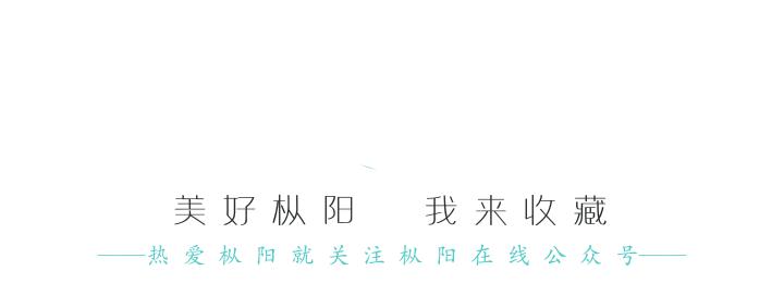 外媒报道中国人救助鸭子,外媒报道鸭子抗蝗虫