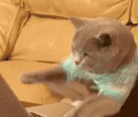 双11活动什么时候买最划算,双十一这些一定不要买