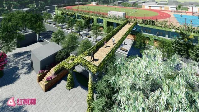 潮州建体育公园,潮州体育馆改造效果图