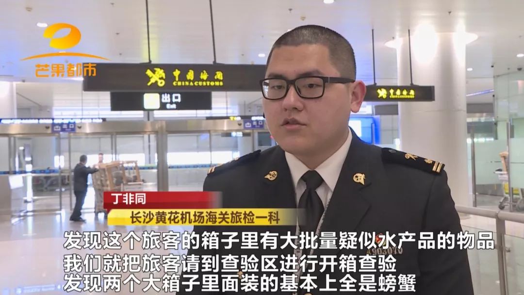 13吨冰冻虾被集中销毁,17吨梭子蟹被抓