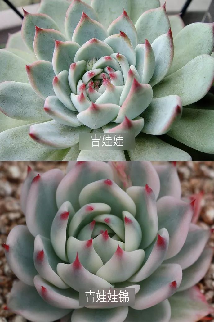 3种方法来辨别真假朋友,三个方面判断骗局