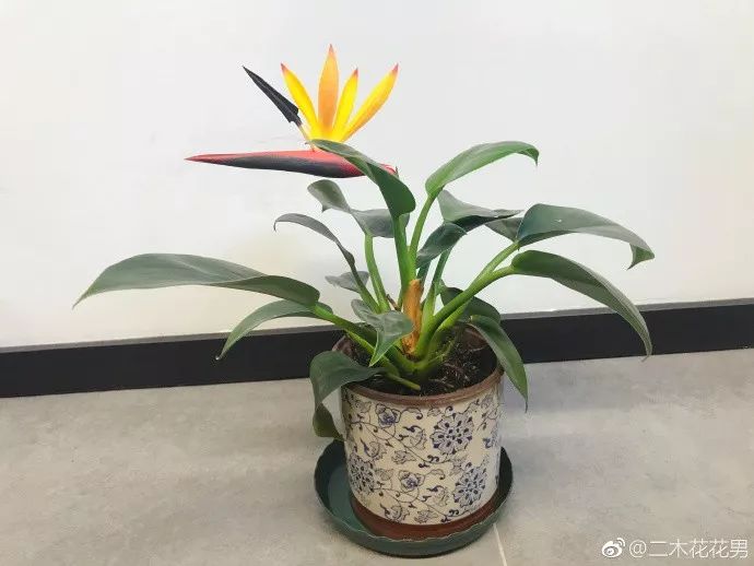 3种方法来辨别真假朋友,三个方面判断骗局