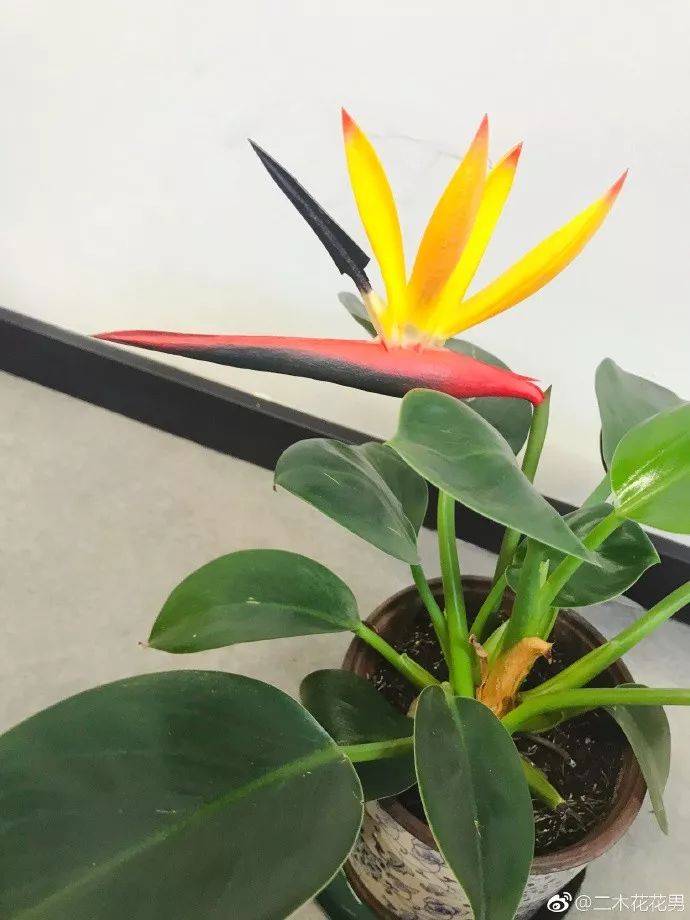 三个方法看透所有谎言,三个方法辨别谎言