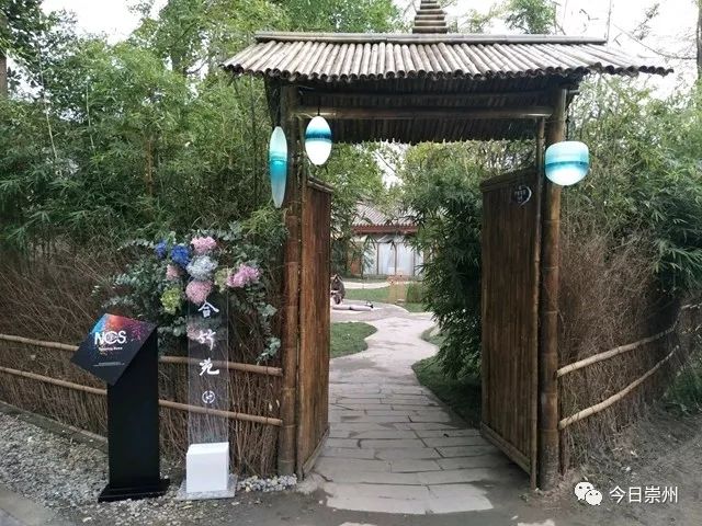 川派盆景、多彩田园，来观胜感受不一样的赏花节