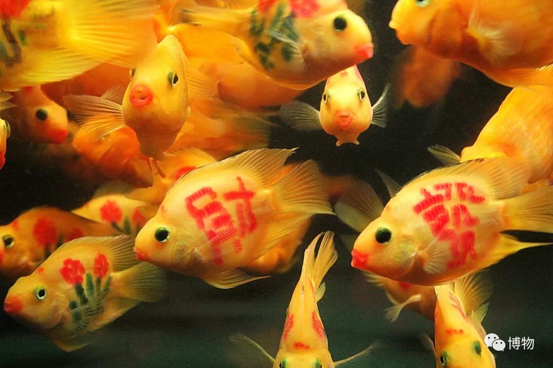 9102年了,别再用“人造”伤害动物和买家