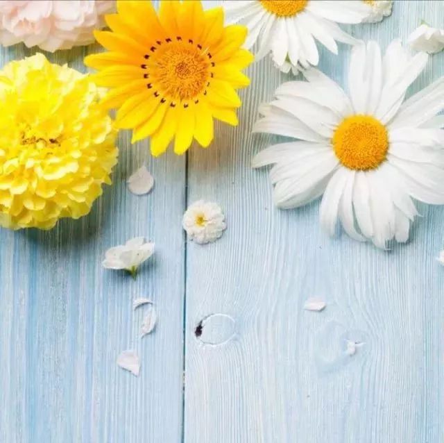 喝茶的人为啥要去品茶啊,喝茶的人为什么要买好多器具