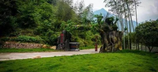 五一五府山蜜蜂谷,春游五龙山