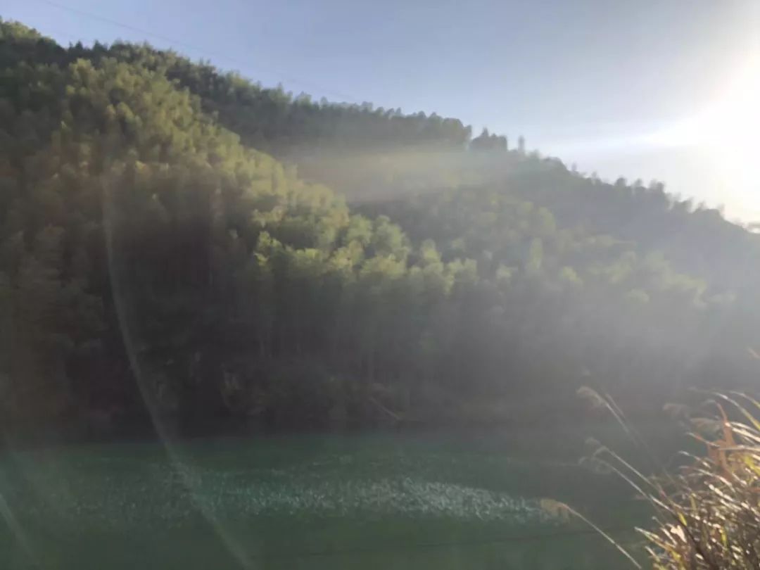 五一五府山蜜蜂谷,春游五龙山