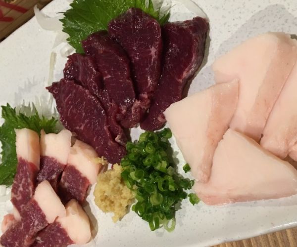 日本九州亲子游攻略,日本九州自由行攻略