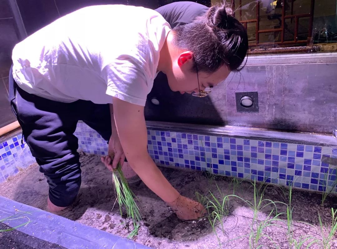 这大概是全世界最无聊的人了