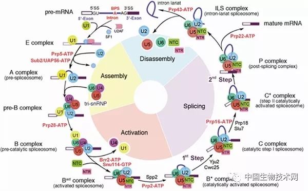施一公团队研究仪器,施一公团队最新研究成果