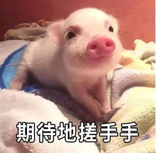 心血管病一级预防指南下载,阿司匹林心血管疾病一级预防指南