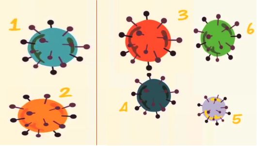 90%的人都不了解，沉默的杀手究竟是一种怎样的存在？