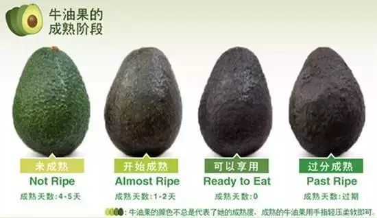 牛油果的营销词汇,牛油果有关词语