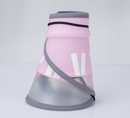 陈小春带应采儿上节目,陈小春和应采儿爸爸去哪儿秀恩爱