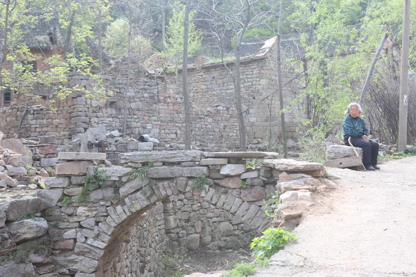 春游郑州这份赏花攻略请收好,郑州自驾踏青赏花好去处