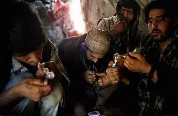 蝎子烟,蝎子烟有什么危害