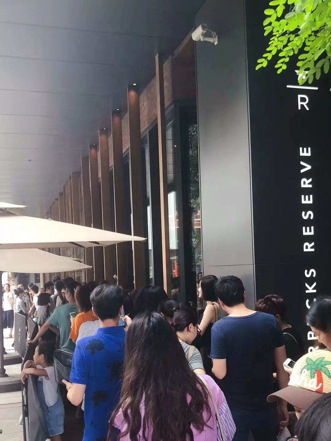 星巴克猫爪杯营销案例分析,猫爪杯星巴克经营模式