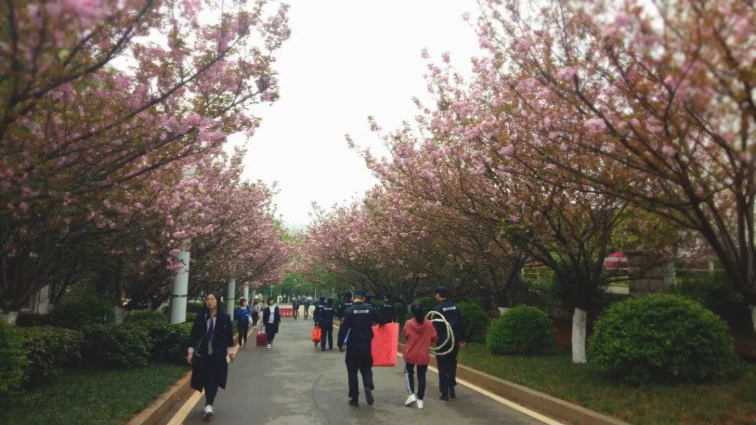 素拓部招新宣传视频,素拓招新