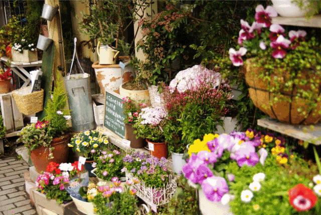 西安最大花卉交易市场,西安朱宏路丰产路巨坤花卉市场