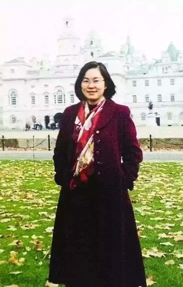 女外交官华春莹怒怼美国,华春莹外交霸气回应