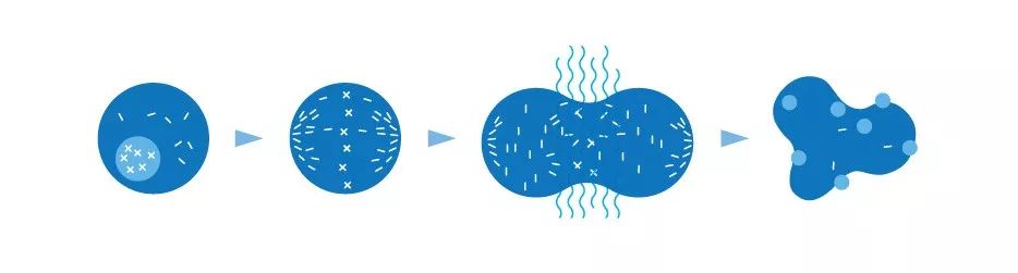 5年生存率翻番!这种全球范围内首次获批的电场抗癌黑科技,是脑部肿瘤治疗领域近10年来最大的突破丨奇点搜神记