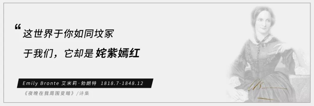 国外网红小黑书,风靡全球的小黑书