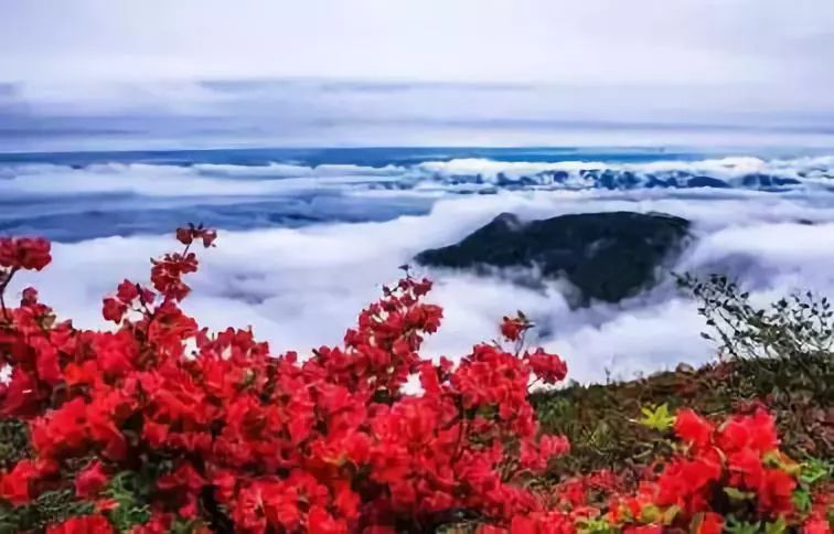 夜读安然完整版,夜读安然