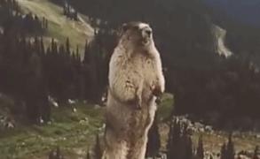 南方回南天潮湿到怀疑人生,南方的回南天潮湿